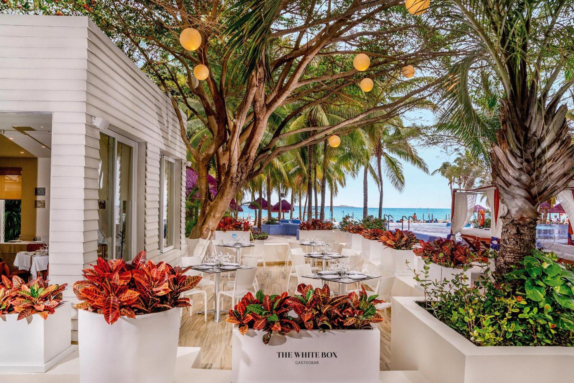The Sens Cancun By Oasis (Adults Only) Exterior photo